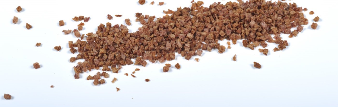 foto_CVT1952-lowres - kopie