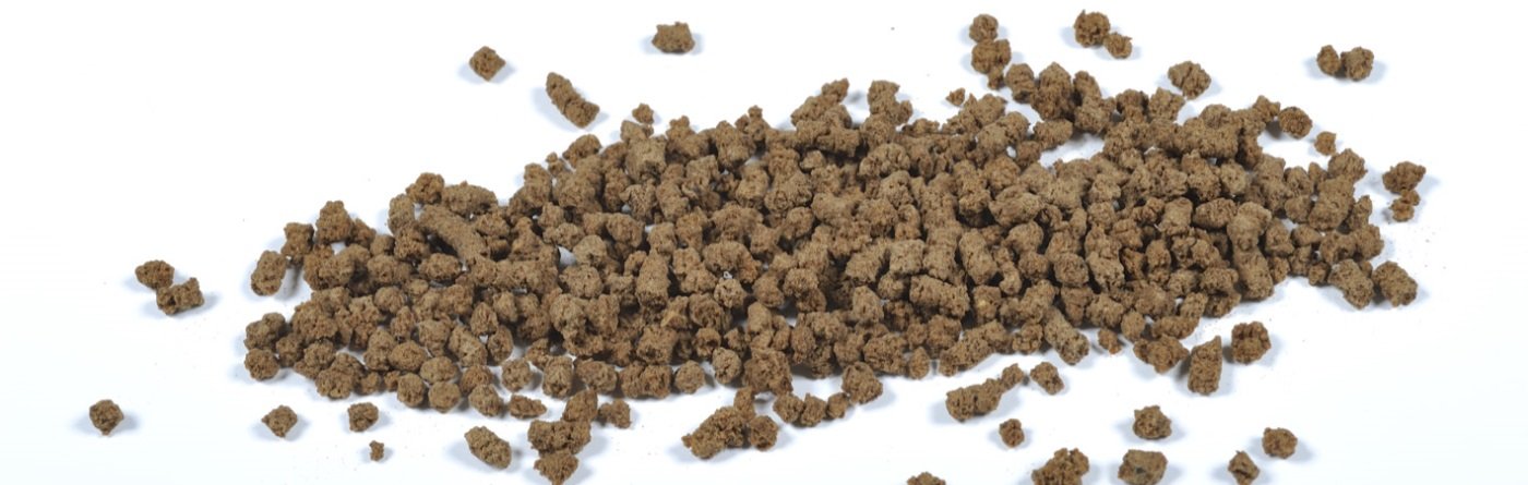 foto_CVT1953-lowres - kopie