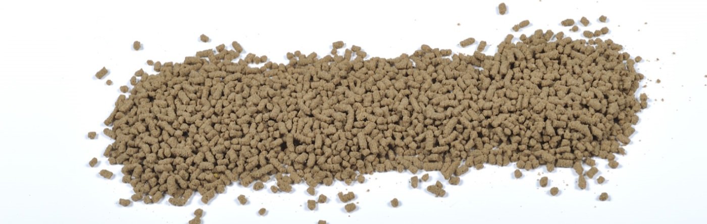 foto_CVT1954-lowres - kopie