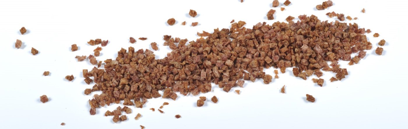 foto_CVT1952-lowres - kopie