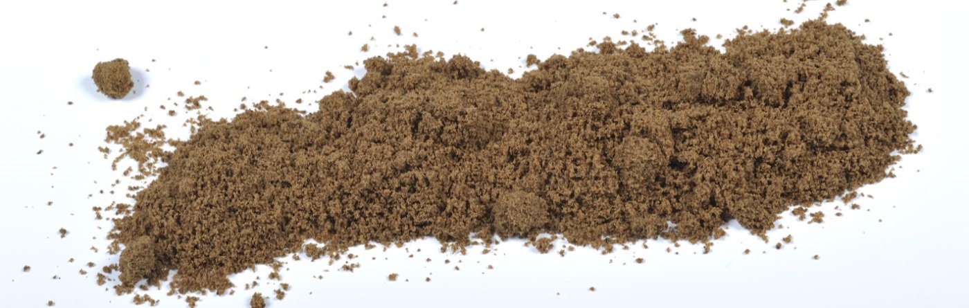 foto_CVT1958-lowres - kopie