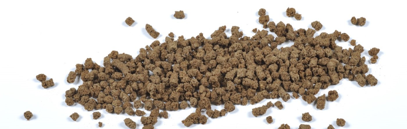 foto_CVT1953-lowres - kopie