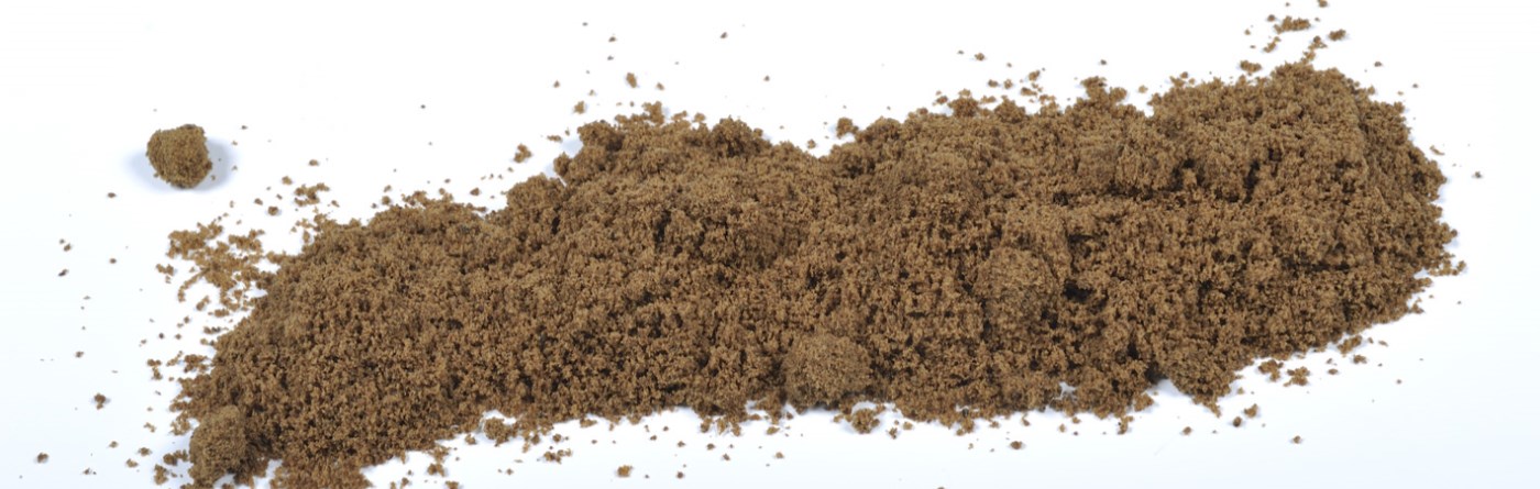 foto_CVT1958-lowres - kopie